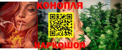 молекула духа Новодвинск