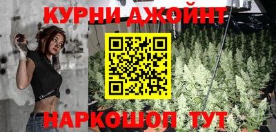 гидра Новокубанск
