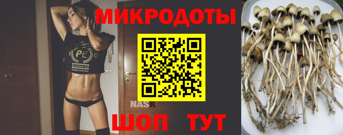 Псилоцибиновые грибы ЛСД Сафоново